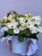 Caja de verano con orquídeas limón