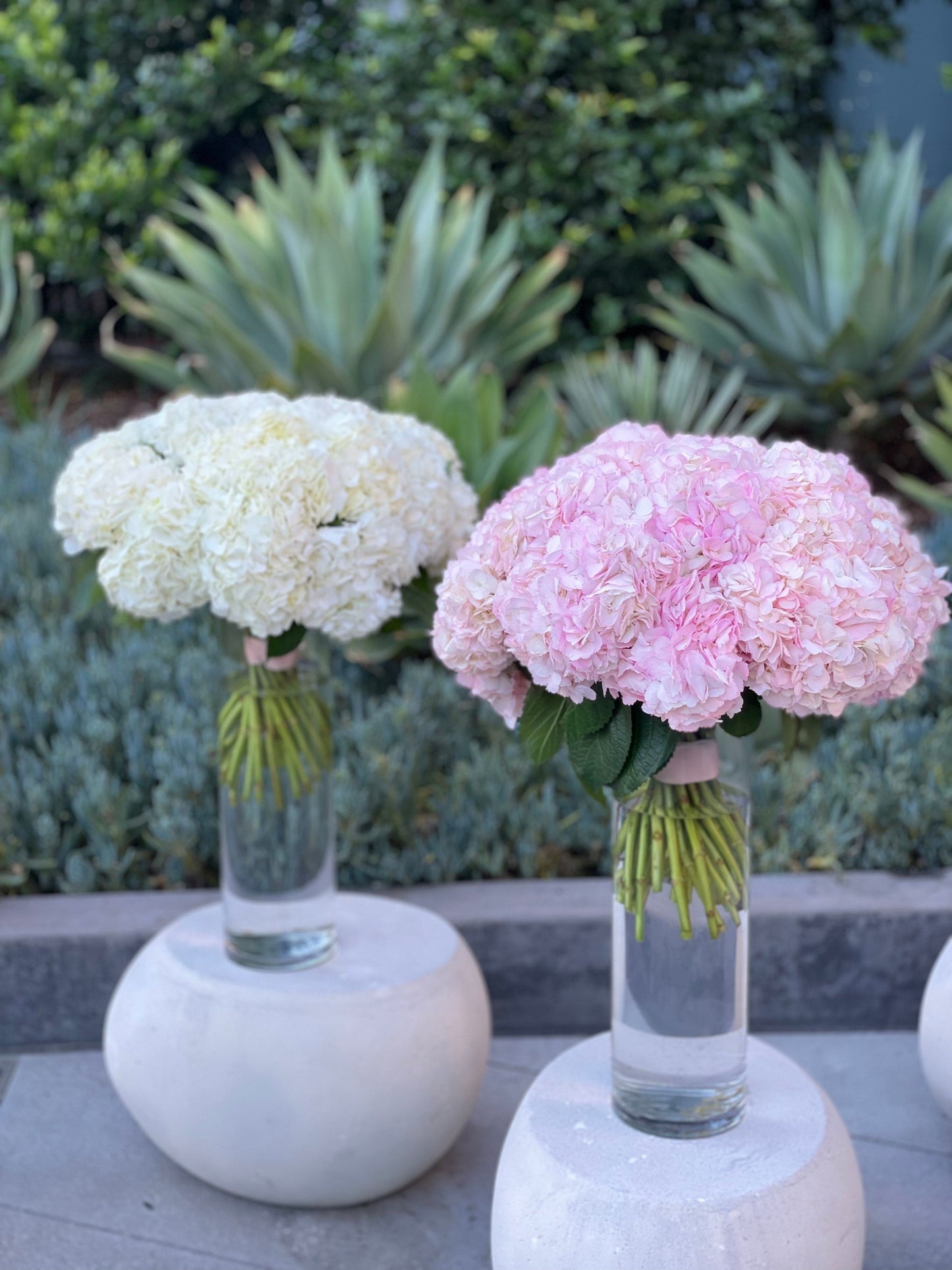 Bouquet of adorable hydrangeas