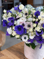 Grand box with anemones