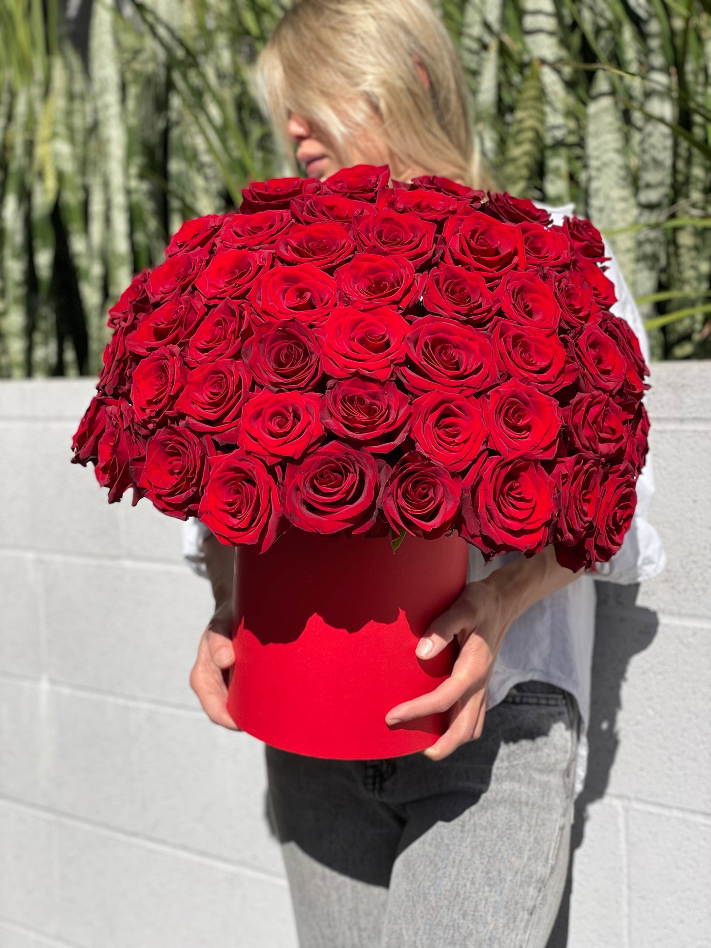 Box of 50 gorgeous red roses