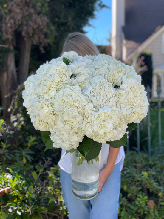 Bouquet N.2 White hydrangea
